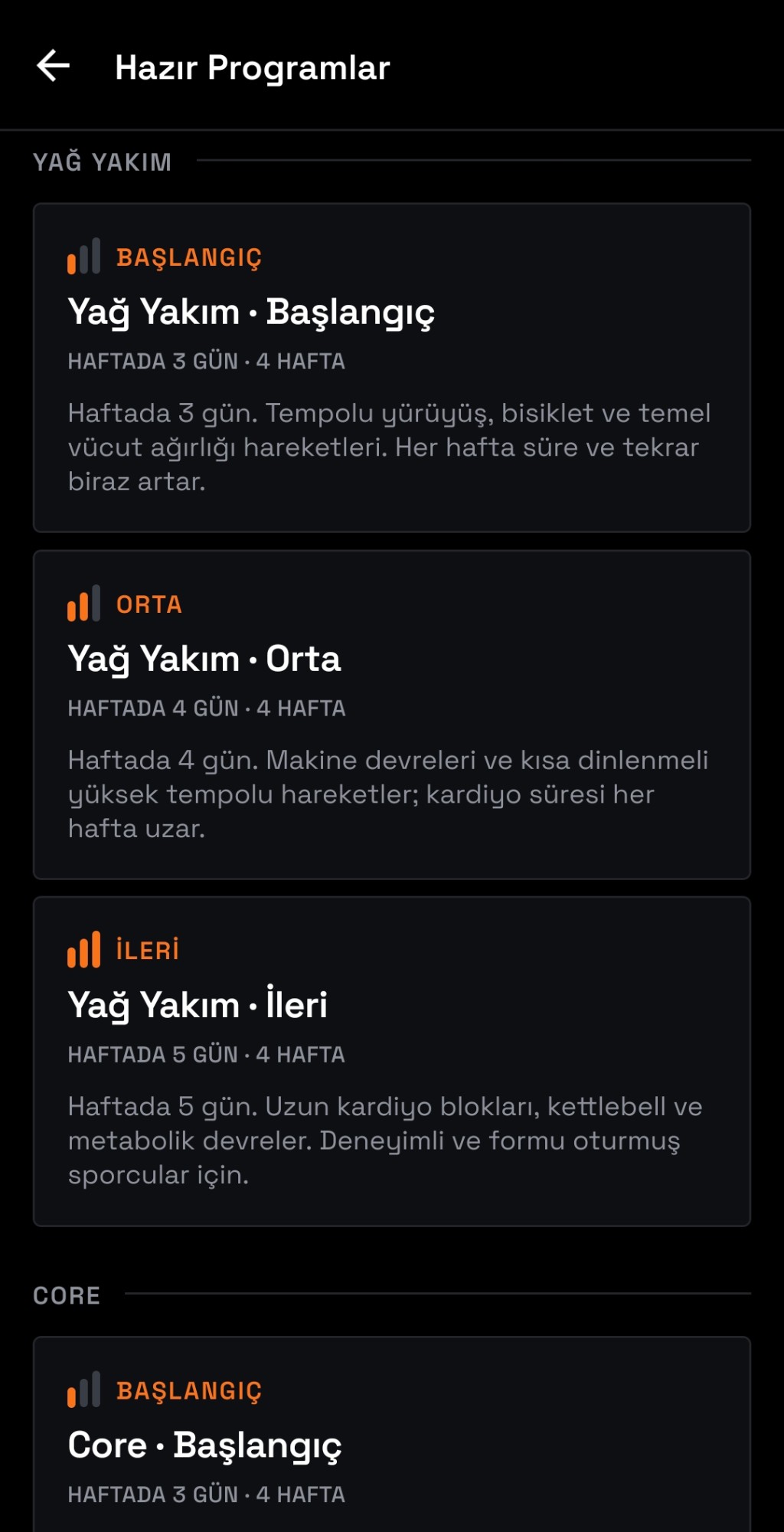 Hazır 4 haftalık programlar